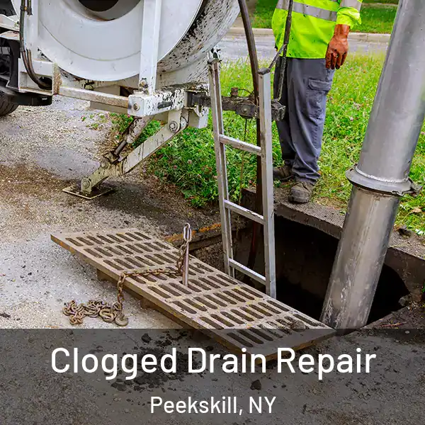  Clogged Drain Repair Peekskill, NY