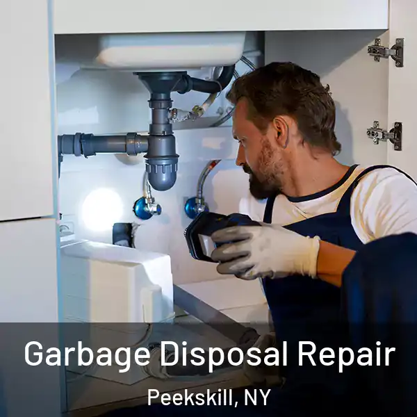  Garbage Disposal Repair Peekskill, NY