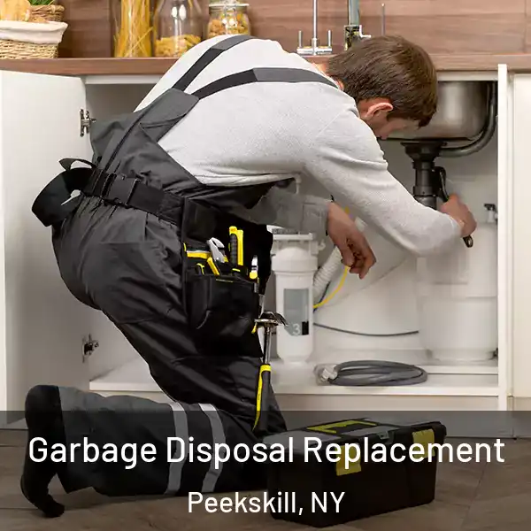 Garbage Disposal Replacement Peekskill, NY