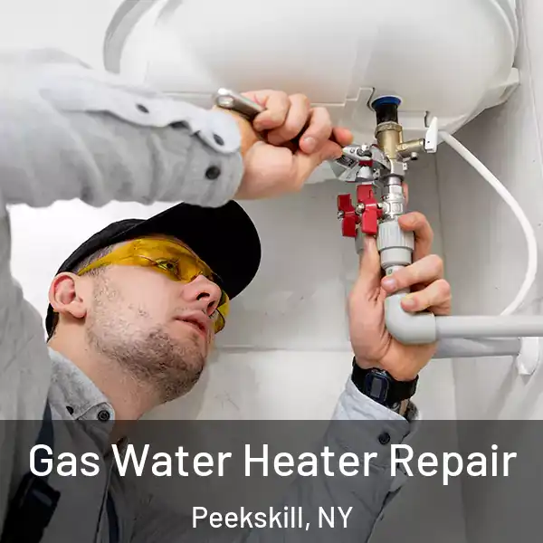  Gas Water Heater Repair Peekskill, NY