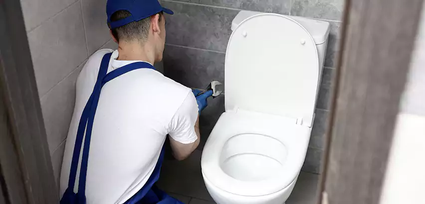 Toilet Lid Replacement in Peekskill