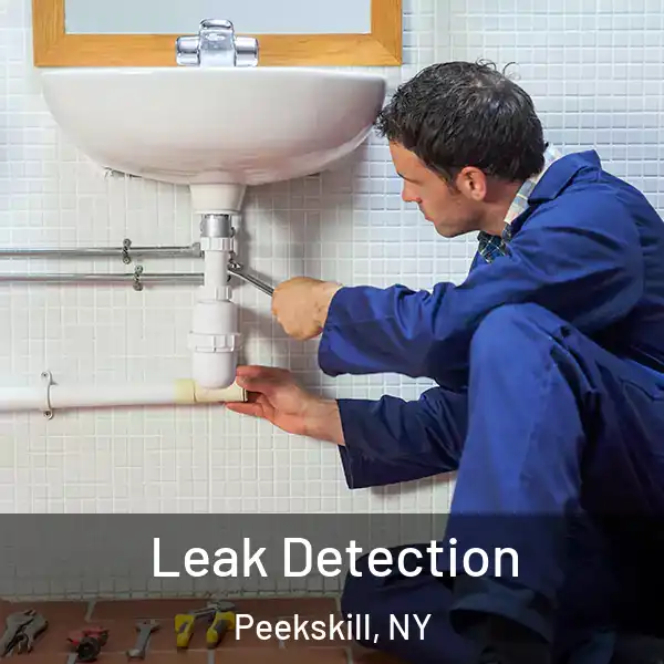  Leak Detection Peekskill, NY