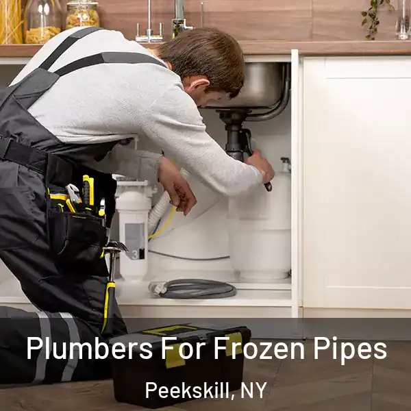  Plumbers For Frozen Pipes Peekskill, NY