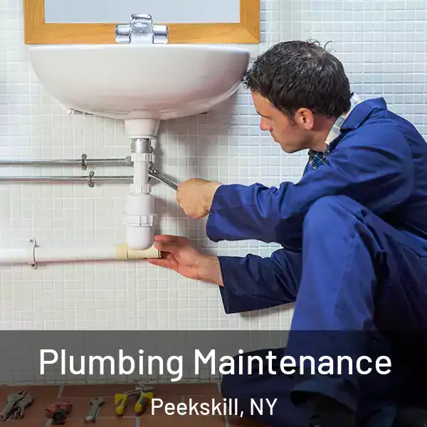  Plumbing Maintenance Peekskill, NY