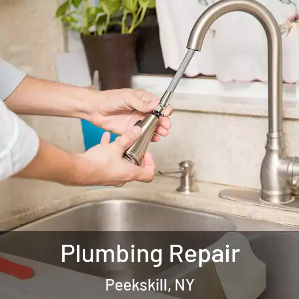  Plumbing Repair Peekskill, NY