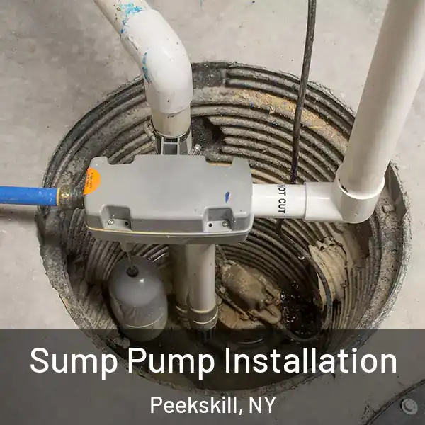  Sump Pump Installation Peekskill, NY