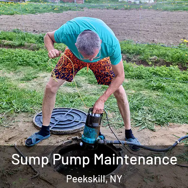  Sump Pump Maintenance Peekskill, NY