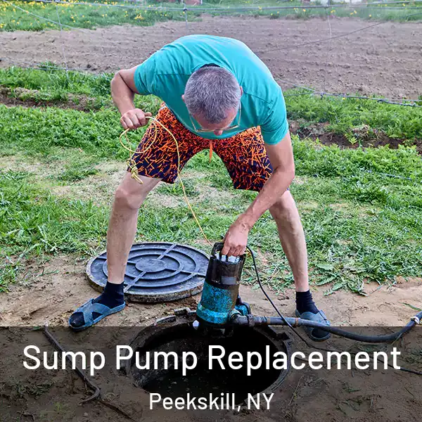  Sump Pump Replacement Peekskill, NY