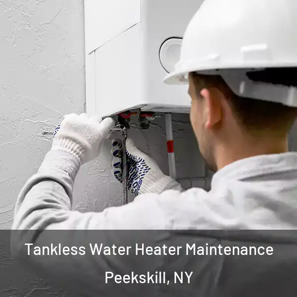  Tankless Water Heater Maintenance Peekskill, NY