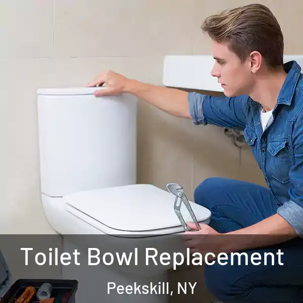  Toilet Bowl Replacement Peekskill, NY