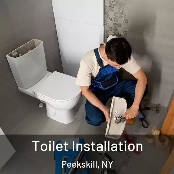  Toilet Installation Peekskill, NY