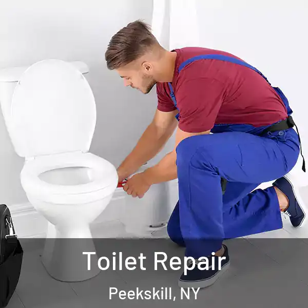  Toilet Repair Peekskill, NY