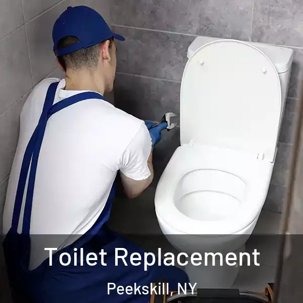  Toilet Replacement Peekskill, NY