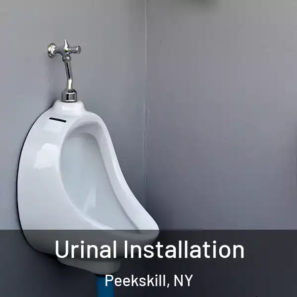  Urinal Installation Peekskill, NY