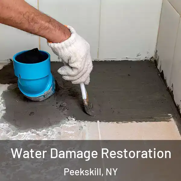  Water Damage Restoration Peekskill, NY