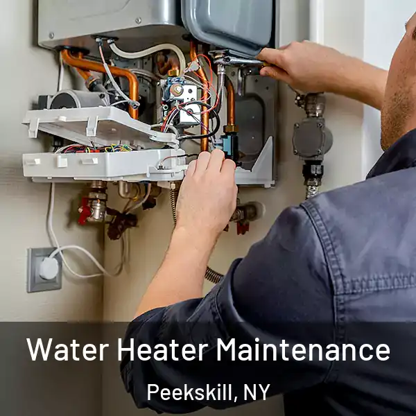 Water Heater Maintenance Peekskill, NY