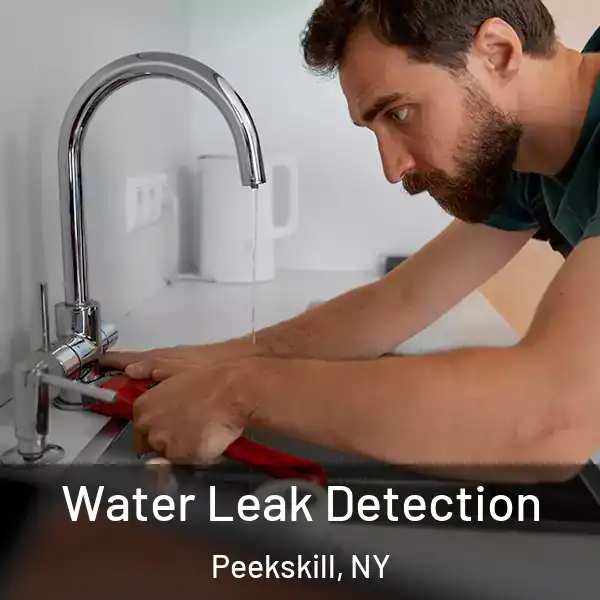  Water Leak Detection Peekskill, NY
