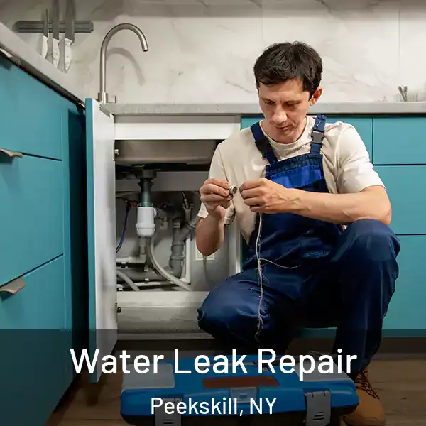  Water Leak Repair Peekskill, NY
